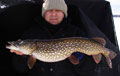 Greenback fishing guide